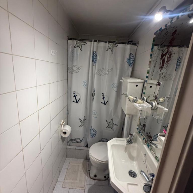 Roommate viña - Double Room - 1