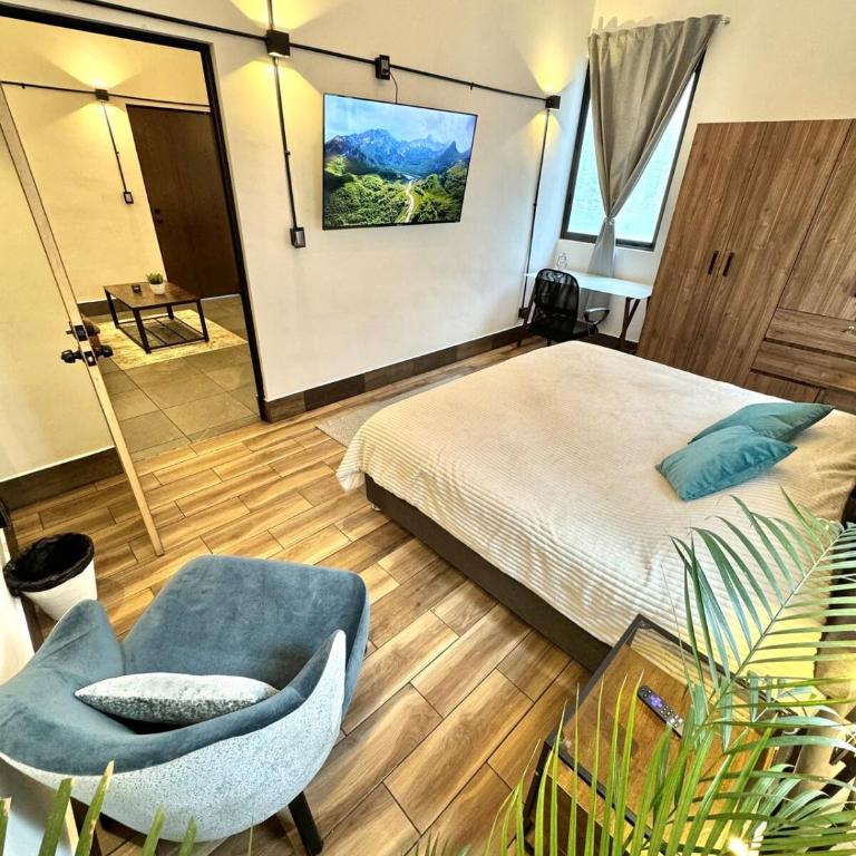 Great bright apartment 3 - One-Bedroom Apartment - 3