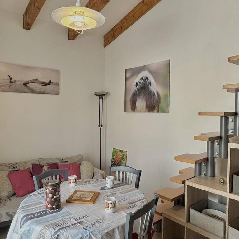 Appartement T2 climatisé avec mezzanine, loggia et accès direct à la plage - FR-1-529-26 - Appartamento - 4