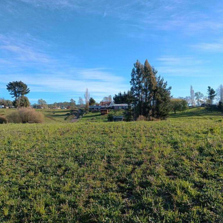 Del valle cabañas - Three-Bedroom House - 15