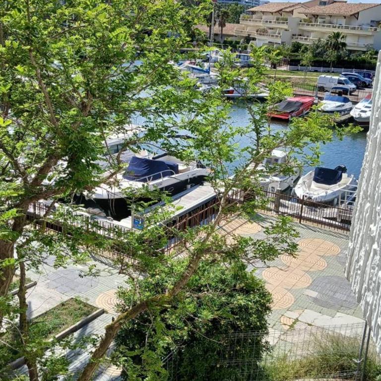 Studio Cabine Canet Plage pour 4 – Ascenseur, Vue Marina - FR-1-696-89 - Estudio - 8