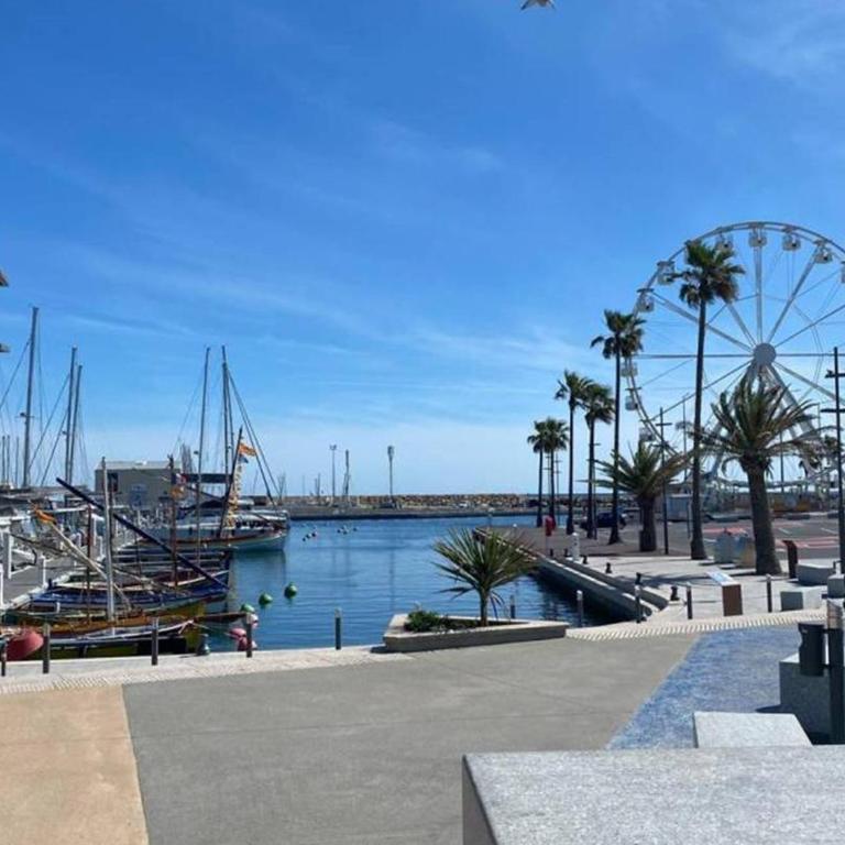 Appartement T2 à Canet Plage, 4 Pers, Terrasse, Proche Plage - FR-1-696-88 - Apartment - 20