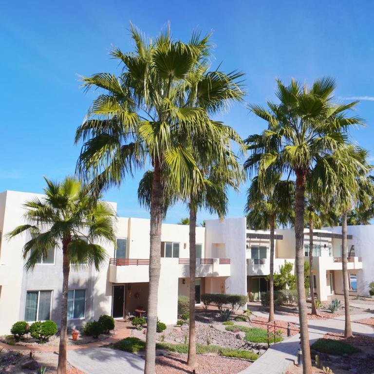 Beach, Please MX - One-Bedroom Apartment - 14