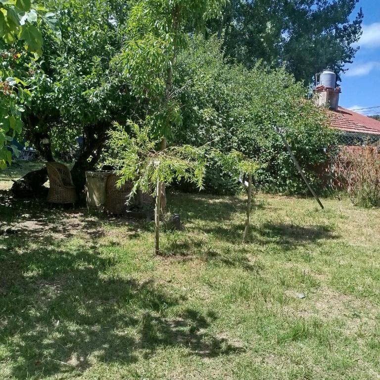 Casa en mar de ajo - Casa de 2 dormitorios - 12