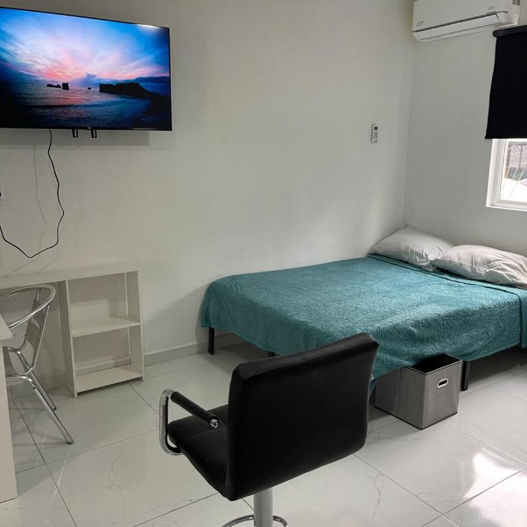 Consulado Santa Catarina a 2 min - One-Bedroom Apartment - 9