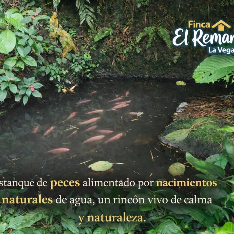 Finca El Remanso La Vega - Casa de 4 dormitorios - 18