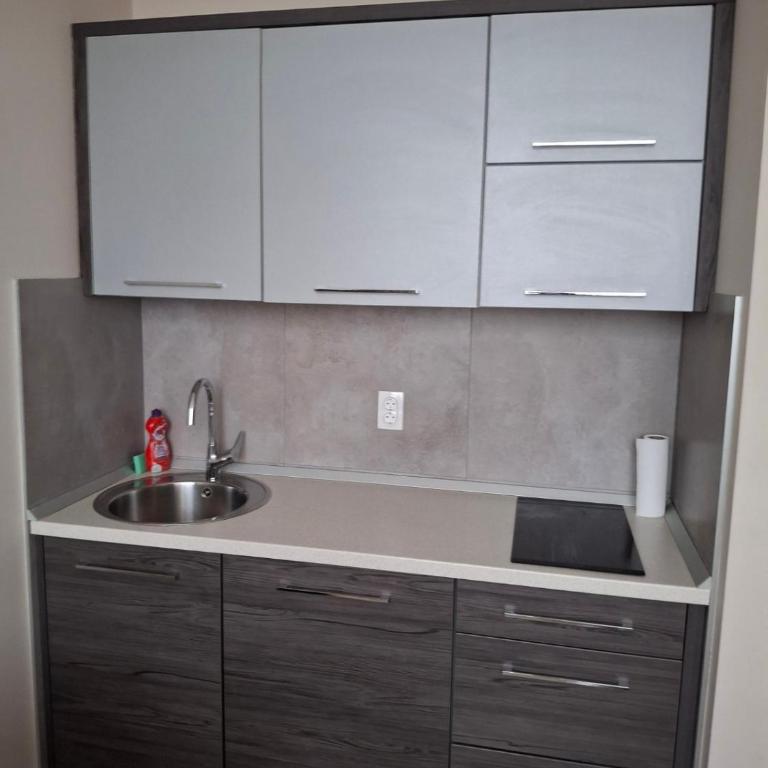 Koncept RK - Apartman sa 1 Spavaćom Sobom - 11