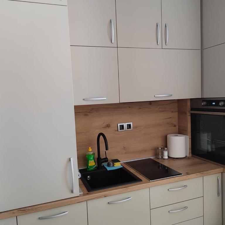 Monte Casa Jahorina - One-Bedroom Apartment - 7