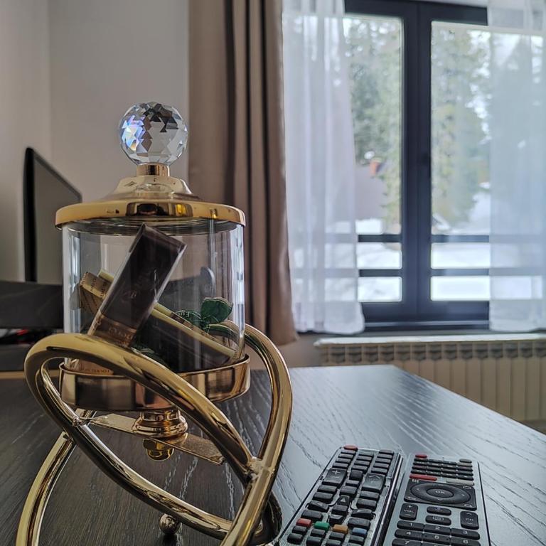 Monte Casa Jahorina - One-Bedroom Apartment - 11