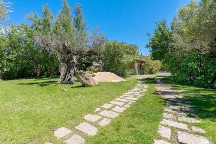 Elite Collection Villa Pavoni in Porto Rotondo - Appartamento - 8