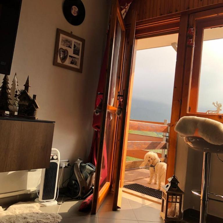 Residence i Larici - Apartment mit 1 Schlafzimmer - 34