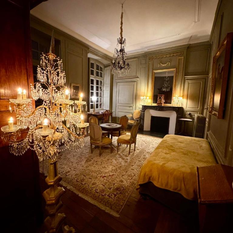 L'Hotel de Panette, Un exceptionnel château en coeur de ville - parking privé cour - Suite - 9