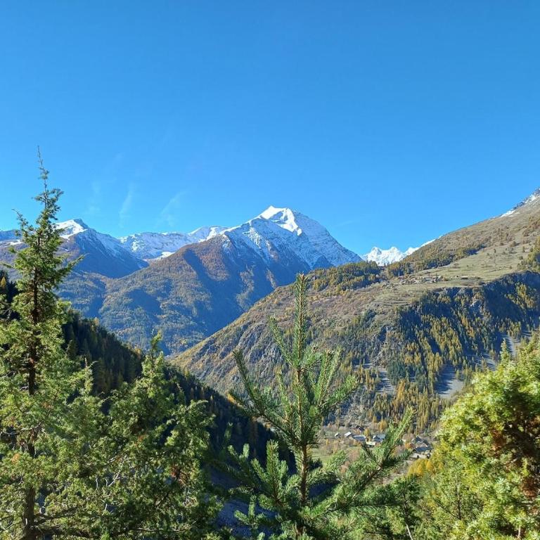 Appartement La Dame Blanche 1800 pied des pistes - Appartamento con 2 Camere da Letto - 21