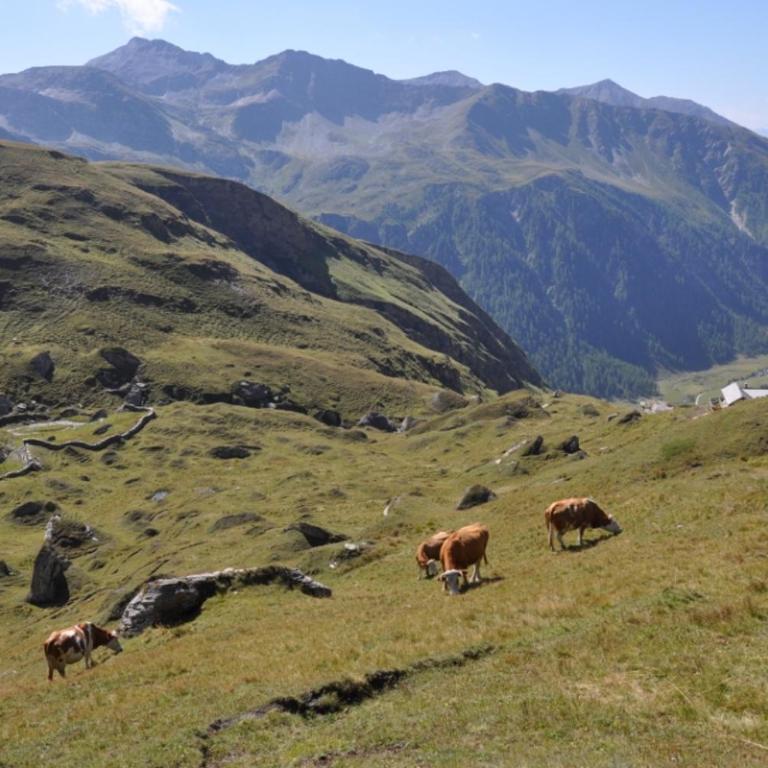Wallnerhütte II Makernigblick - Haus mit 2 Schlafzimmern - 54