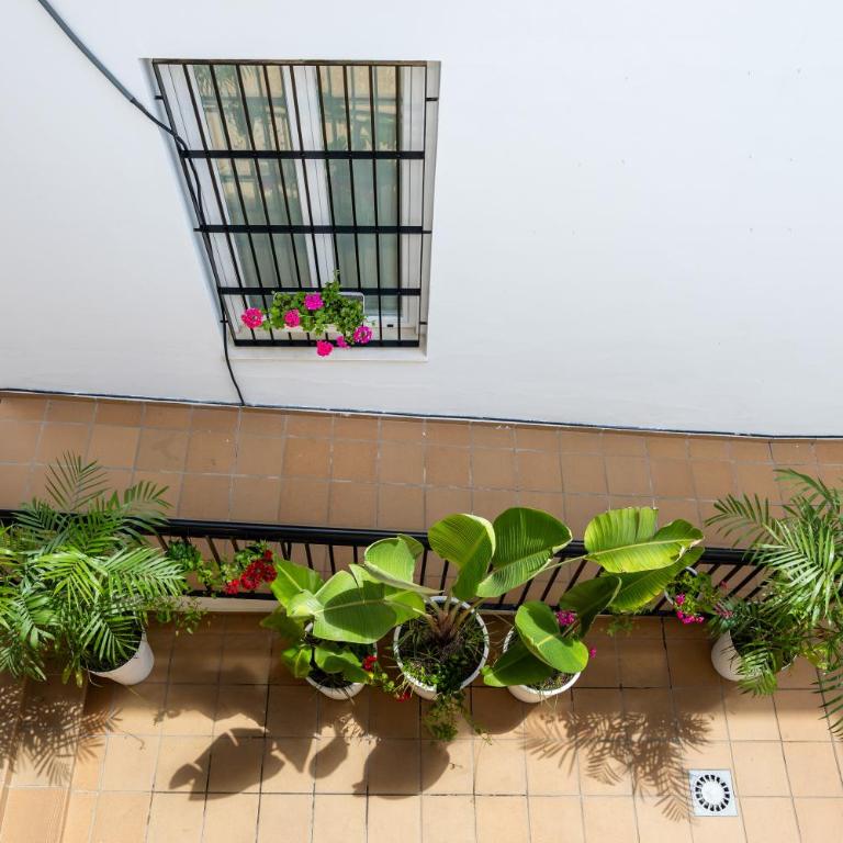 Brisa Jerez Suites - Apartamento de 1 dormitorio - 19