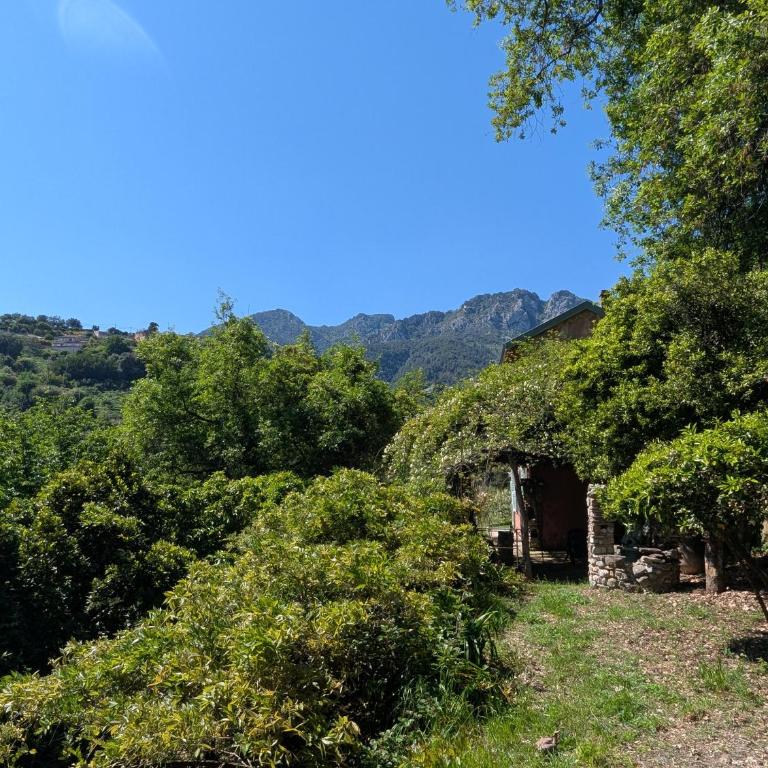 Maison de famille entre mer & collines - Charme, citronniers et tranquillité - accès marche et sentier 3 min - Maison 4 Chambres - 40