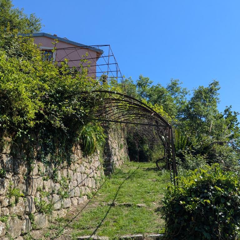 Maison de famille entre mer & collines - Charme, citronniers et tranquillité - accès marche et sentier 3 min - Maison 4 Chambres - 30