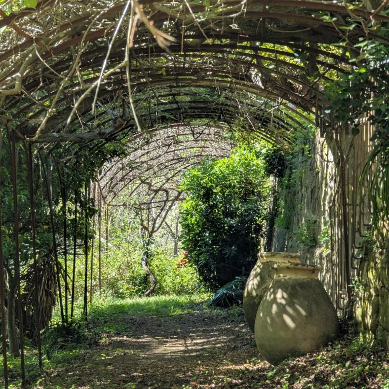 Maison de famille entre mer & collines - Charme, citronniers et tranquillité - accès marche et sentier 3 min - Maison 4 Chambres - 48