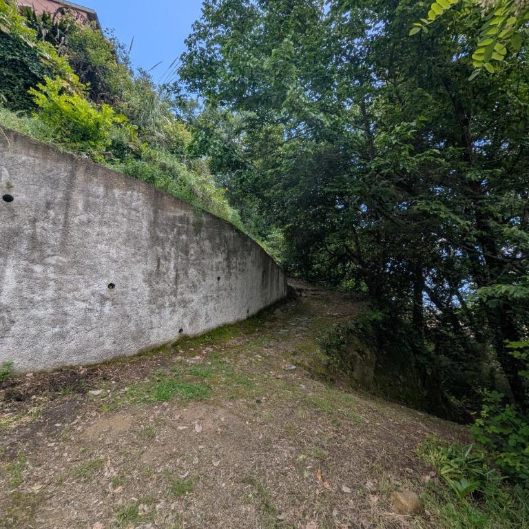 Maison de famille entre mer & collines - Charme, citronniers et tranquillité - accès marche et sentier 3 min - Maison 4 Chambres - 47