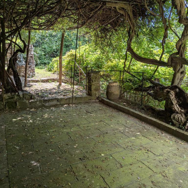 Maison de famille entre mer & collines - Charme, citronniers et tranquillité - accès marche et sentier 3 min - Maison 4 Chambres - 49