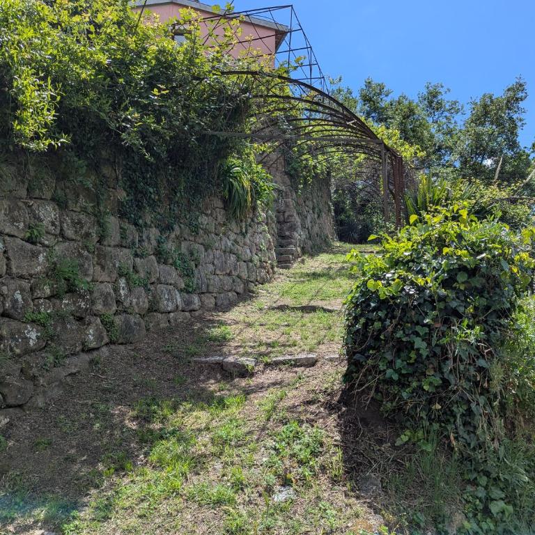 Maison de famille entre mer & collines - Charme, citronniers et tranquillité - accès marche et sentier 3 min - Maison 4 Chambres - 50