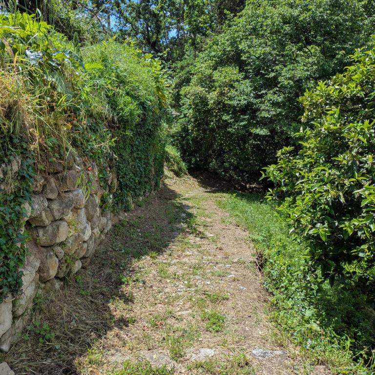 Maison de famille entre mer & collines - Charme, citronniers et tranquillité - accès marche et sentier 3 min - Maison 4 Chambres - 51