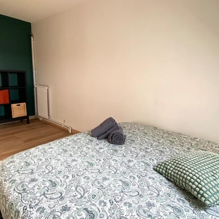 T2 avec une superbe vue sur la Loire - parking - Appartement 2 Chambres - 7