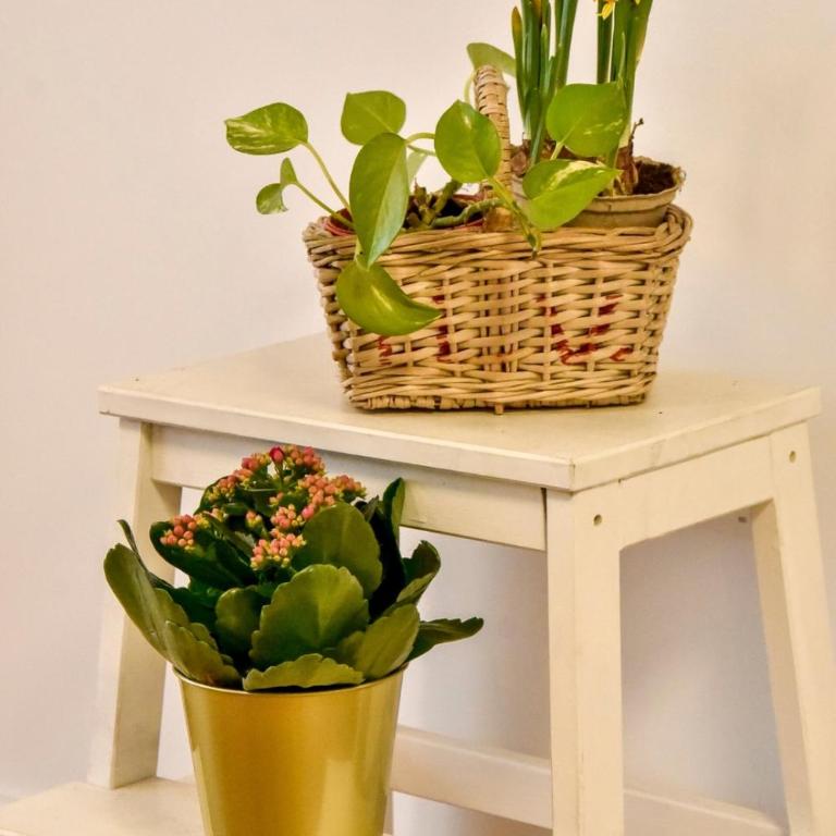 Your Home in Seville - Apartamento - 9