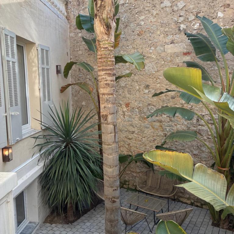 Villa les Fougeres Studio jardin - Appartement 1 Chambre - 5