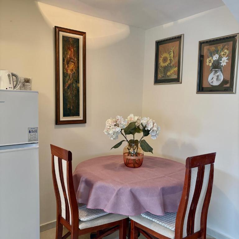 Milenijum apartman - Apartman sa 1 Spavaćom Sobom - 10