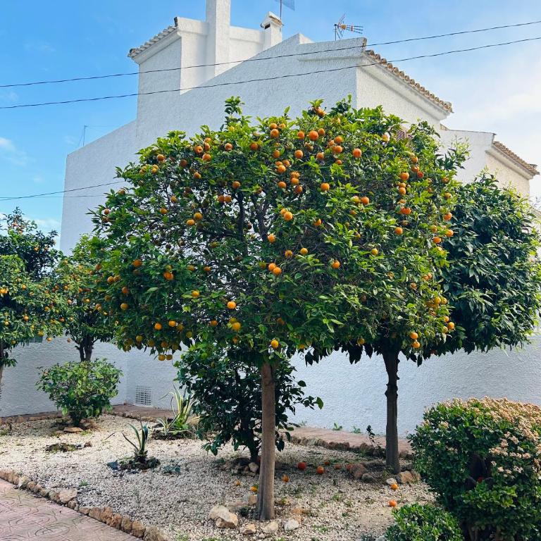 Laguna 88 - Apartamento de 1 dormitorio - 5