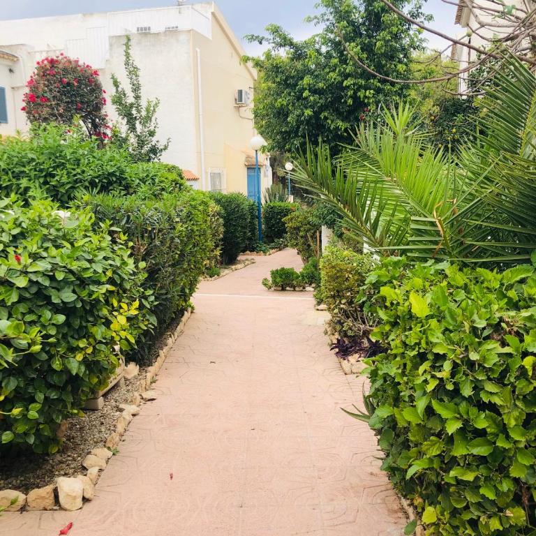 Laguna 88 - Apartamento de 1 dormitorio - 7