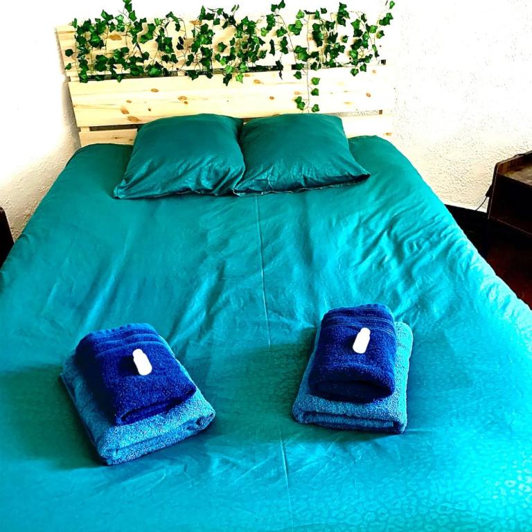 Le Zola - Appartement 1 Chambre - 5