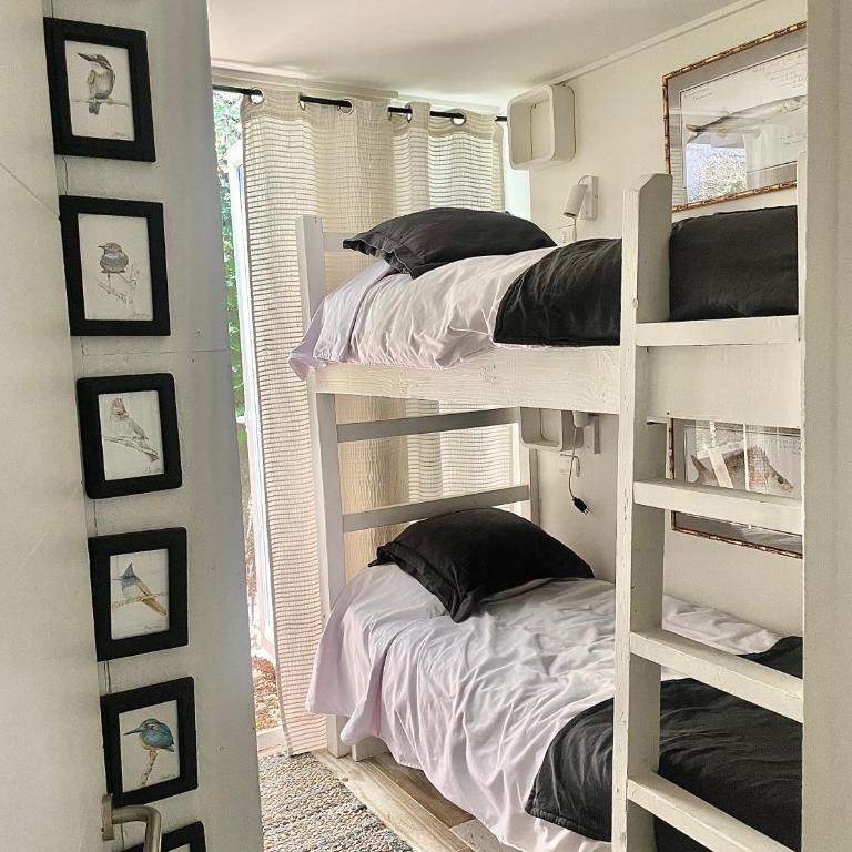 Casa Familiar Zapallar - One-Bedroom House - 12