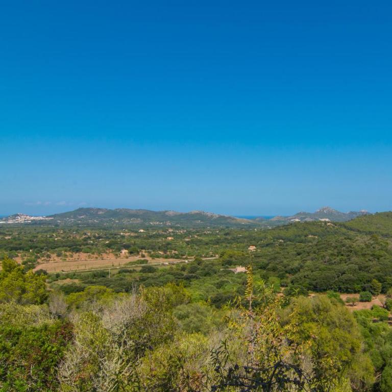 Puig Des Corb - Casa de 4 dormitorios - 4