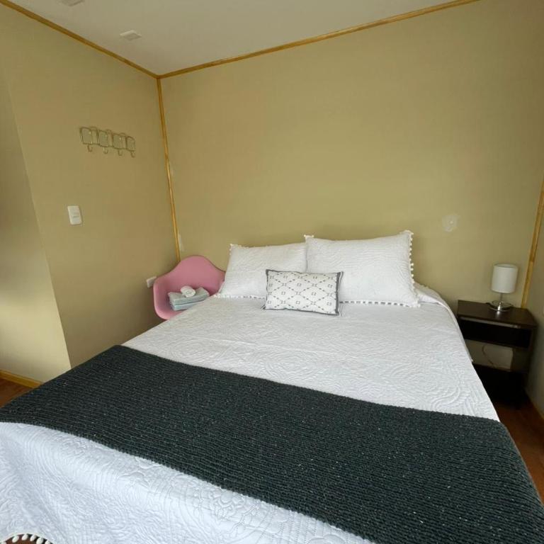 Cabañas Varas - Studio Apartment with Queen Bed - 4