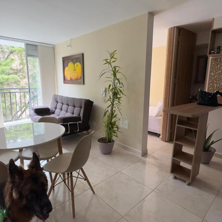 Moderno apto con excelentes vistas mas Wifi 900mb - Two-Bedroom Apartment with Balcony - 4