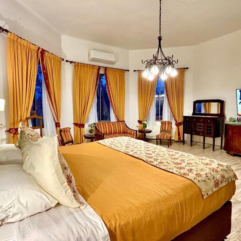 Resort Termas de Panimávida - Hotel & Spa - Deluxe Double or Twin Room - 3