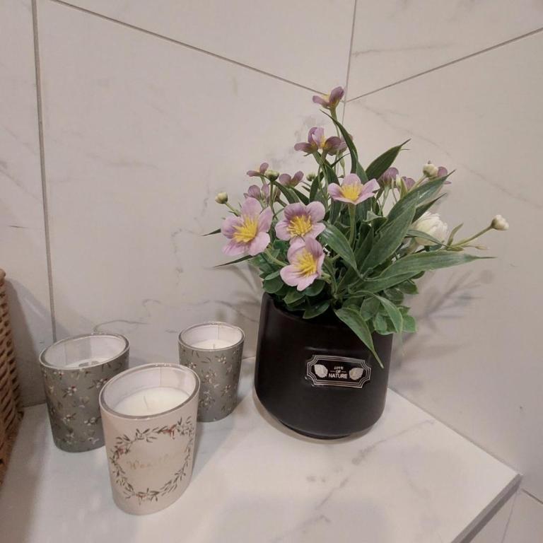 Apartman JaSmina Zlatibor - Apartman sa 1 Spavaćom Sobom - 6