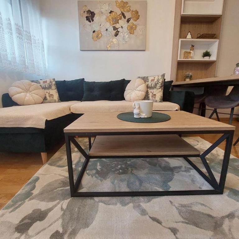Apartman JaSmina Zlatibor - Apartman sa 1 Spavaćom Sobom - 14