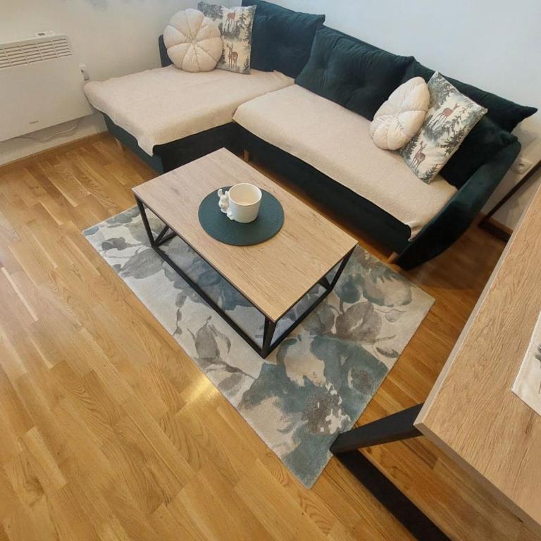 Apartman JaSmina Zlatibor - Apartman sa 1 Spavaćom Sobom - 9