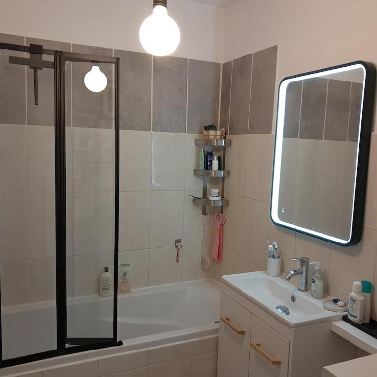 Beautiful air-conditioned apartment with balcony - Appartement 1 Chambre - 10