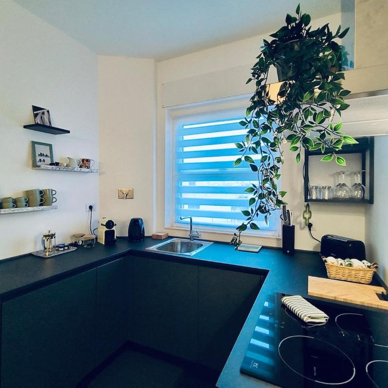 HC - Appio Skyline Petit Attic - Appartamento con 1 Camera da Letto con Vista - 48