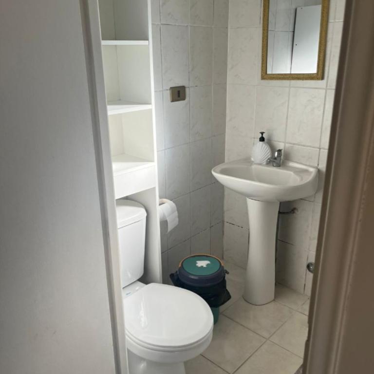 acogedor depto en pichipelluco - Two-Bedroom Apartment - 4
