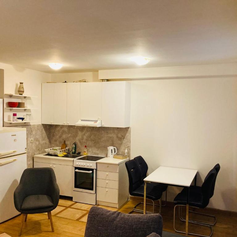 Apartman Vračar - Apartman sa 1 Spavaćom Sobom - 3