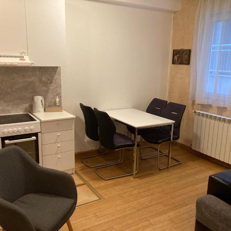 Apartman Vračar - Apartman sa 1 Spavaćom Sobom - 4