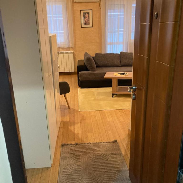 Apartman Vračar - Apartman sa 1 Spavaćom Sobom - 9