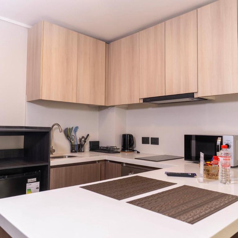 JC Apart Hotel Providencia - One-Bedroom Standard Apartment - 5