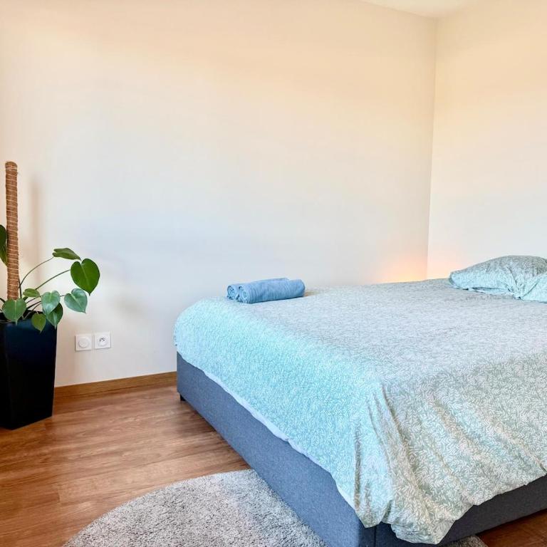 Appartement, terrasse, proche frontière - Appartement 1 Chambre - 11