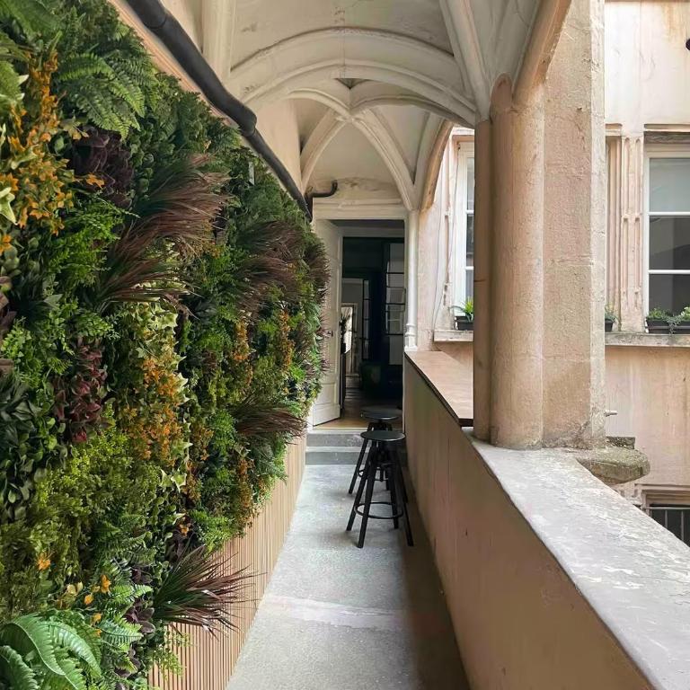 Rue Mercière, Terrasse, Hypercentre, Lyon - Appartement 1 Chambre - 1